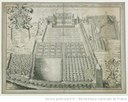 Jardin du Roy pour la culture des plantes médécinales, à Paris, 1636, 