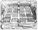 Hortus botanicus Leiden Woudanus 1610