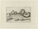 Nutmeg from the Banda Islands, 1599 IMG