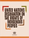 United Nations Declaration on the Rights of Indigenous People IMG