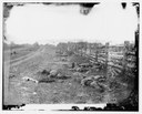 Antietam, Md. Confederate dead by a fence on the Hagerstown road IMG