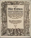 Johann Carolus (1575–1634), Relation: Aller Fuernemmen und gedenckwuerdigen Historien: so sich hin und wider in Hoch- und Nieder-Teutschland, auch in ... verlauffen und zutragen möchte, Straßburg, 1609, UB Heidelberg.