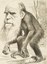 A Venerable Orang-Outang: A Contribution to Unnatural History, Karikatur von Charles Darwin (1809–1882) aus der Zeitschrift The Hornet, 1871, unbekannter Künstler; Bildquelle: Mit freundlicher Genehmigung des University College London, http://www.ucl.ac.uk/class=