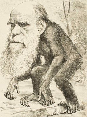 A Venerable Orang-Outang: A Contribution to Unnatural History, Karikatur von Charles Darwin (1809–1882) aus der Zeitschrift The Hornet, 1871, unbekannter Künstler; Bildquelle: Mit freundlicher Genehmigung des University College London, http://www.ucl.ac.uk/.