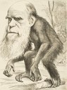 A Venerable Orang-Outang: A Contribution to Unnatural History, Karikatur von Charles Darwin (1809–1882) aus der Zeitschrift The Hornet, 1871, unbekannter Künstler; Bildquelle: Mit freundlicher Genehmigung des University College London, http://www.ucl.ac.uk/.